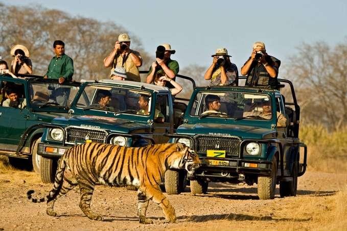 Jim Corbett