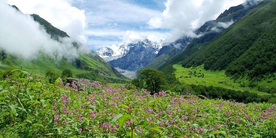 Valley of Flowers & Hemkund